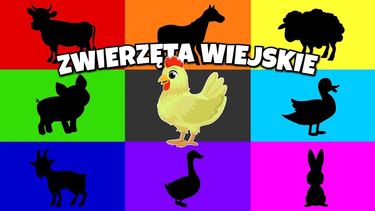 Najlepsze filmy dla dzieci o zwierzętach, które uczą wartości i przyjaźni